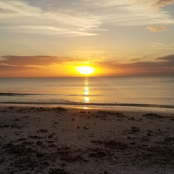 Meet your Posher, Korisa - Picture 1 of 1